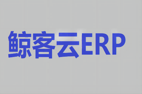 鲸客云ERP