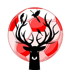 麋眼看球之资深指路明灯