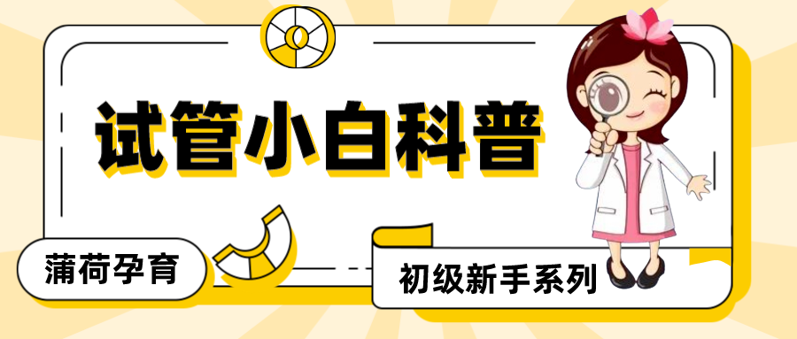 【试管小白】改善子宫内膜容受性要怎么处理？做好这6步提高移植成功率！