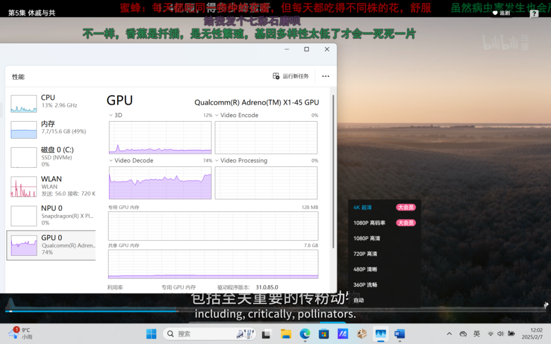 在线播放4K视频