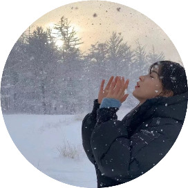 半日看雪