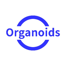 Organoids
