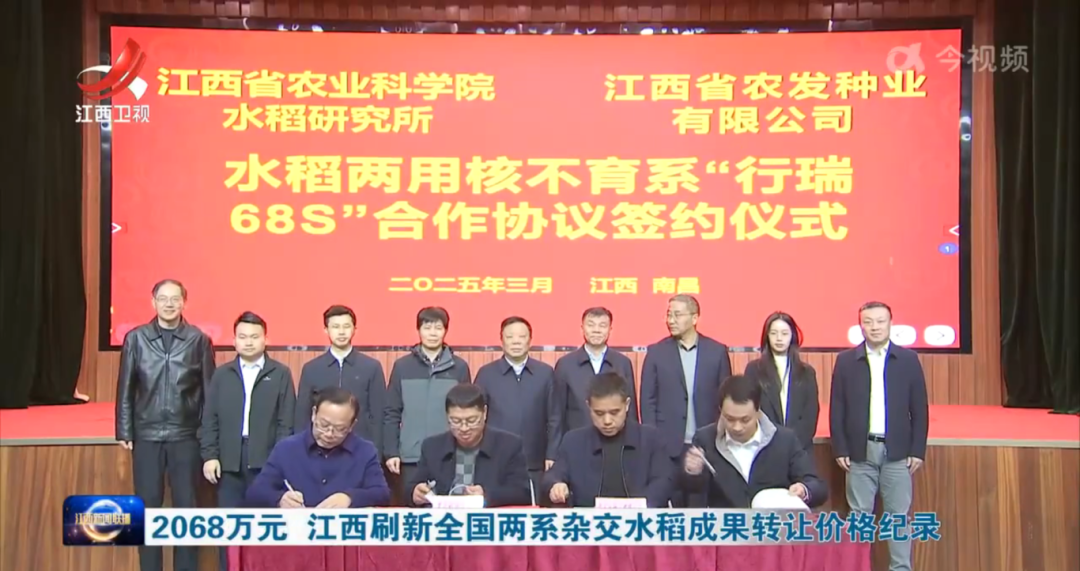 农发种业成功受让水稻两用核不育系“行瑞68S”.png
