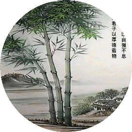 攒股收息目标100万