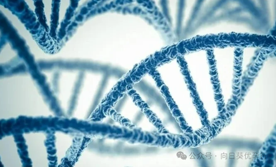 有卵泡也可能促排失败，这 3 个激素指标决定试管成功率