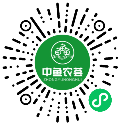 中鱼农荟