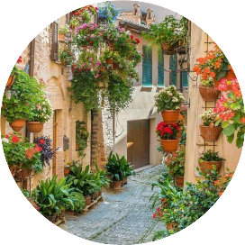 大世界里的小思绪