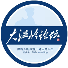 大温岭论坛