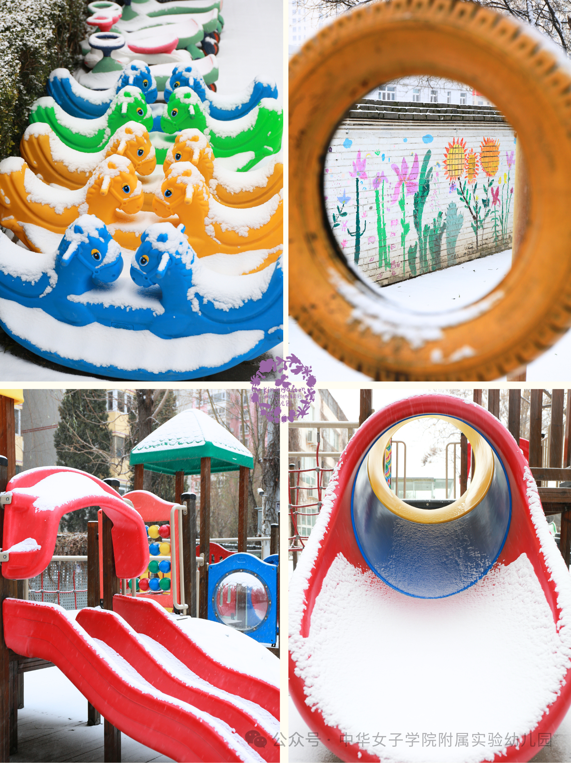 今日初雪 | 大雪飘落，花草园变成了“童话王国”！-幼师课件网第10张图片