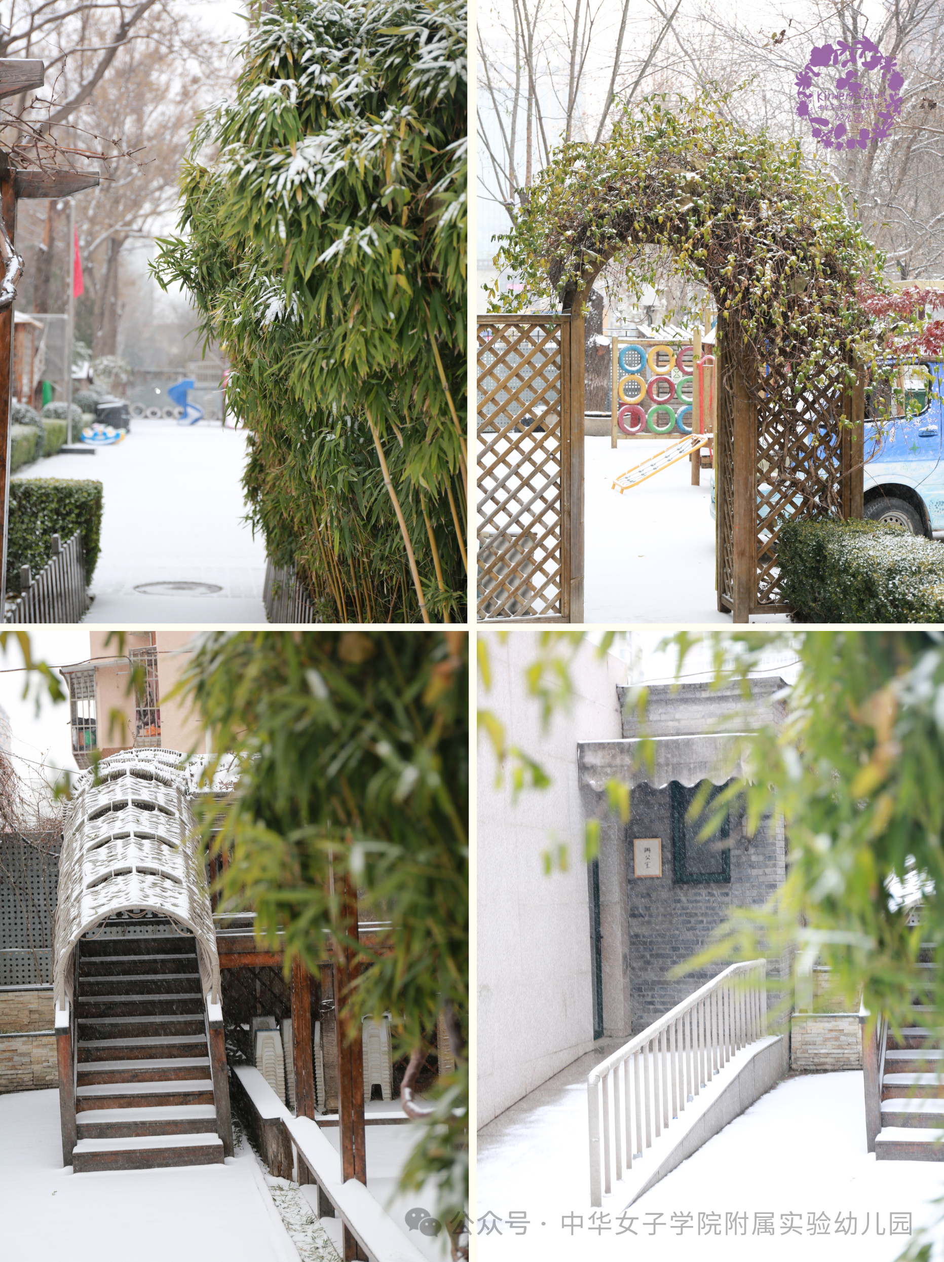 今日初雪 | 大雪飘落，花草园变成了“童话王国”！-幼师课件网第6张图片