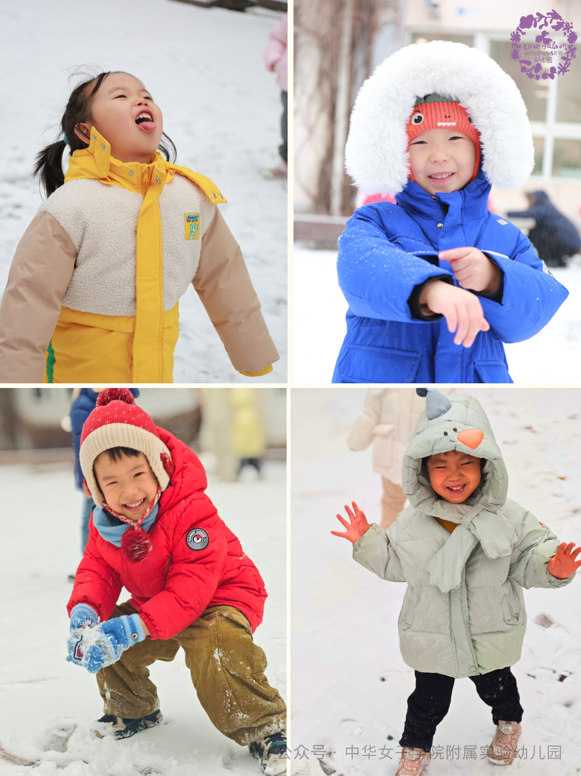 今日初雪 | 大雪飘落，花草园变成了“童话王国”！-幼师课件网第18张图片