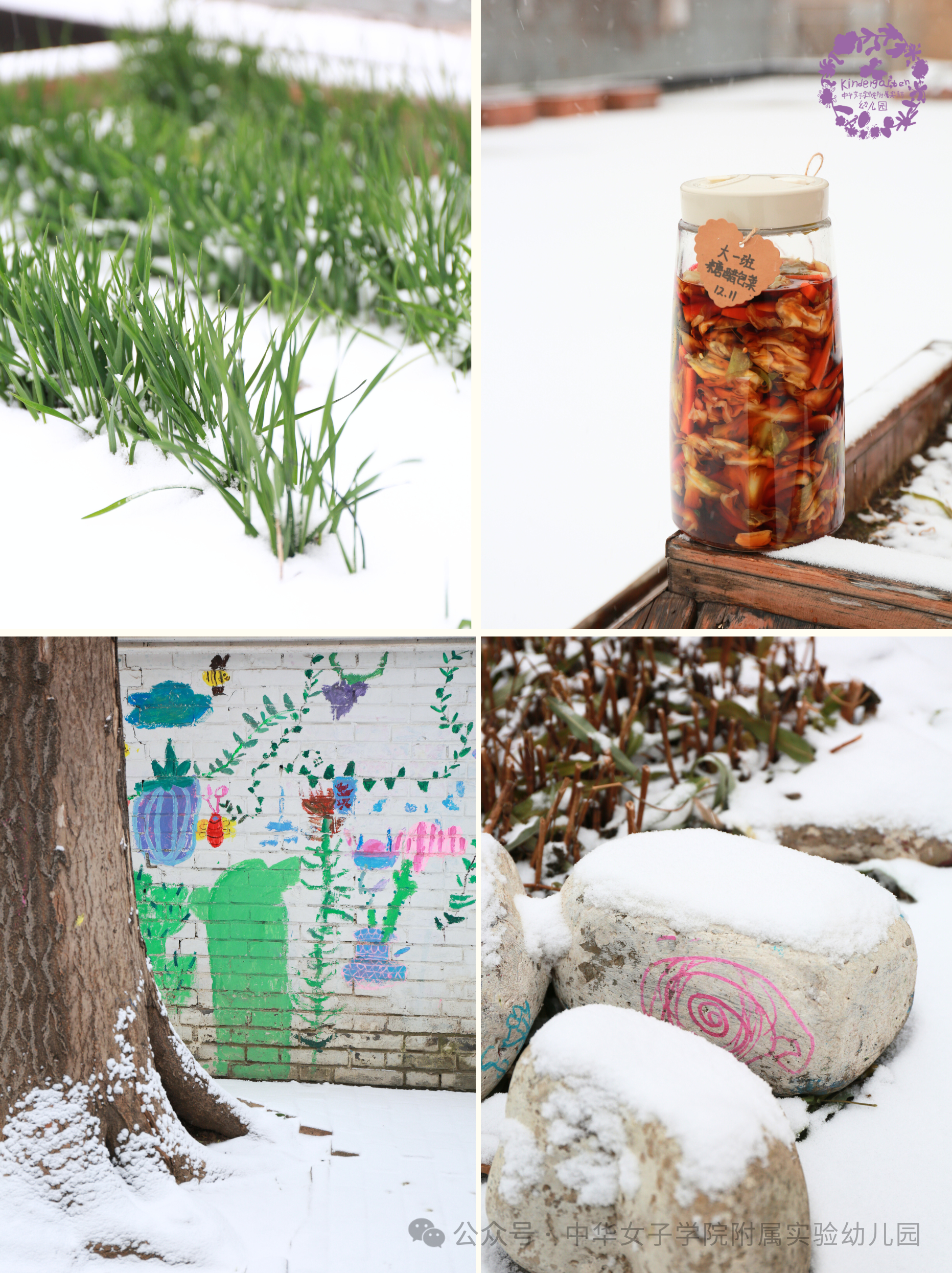 今日初雪 | 大雪飘落，花草园变成了“童话王国”！-幼师课件网第14张图片