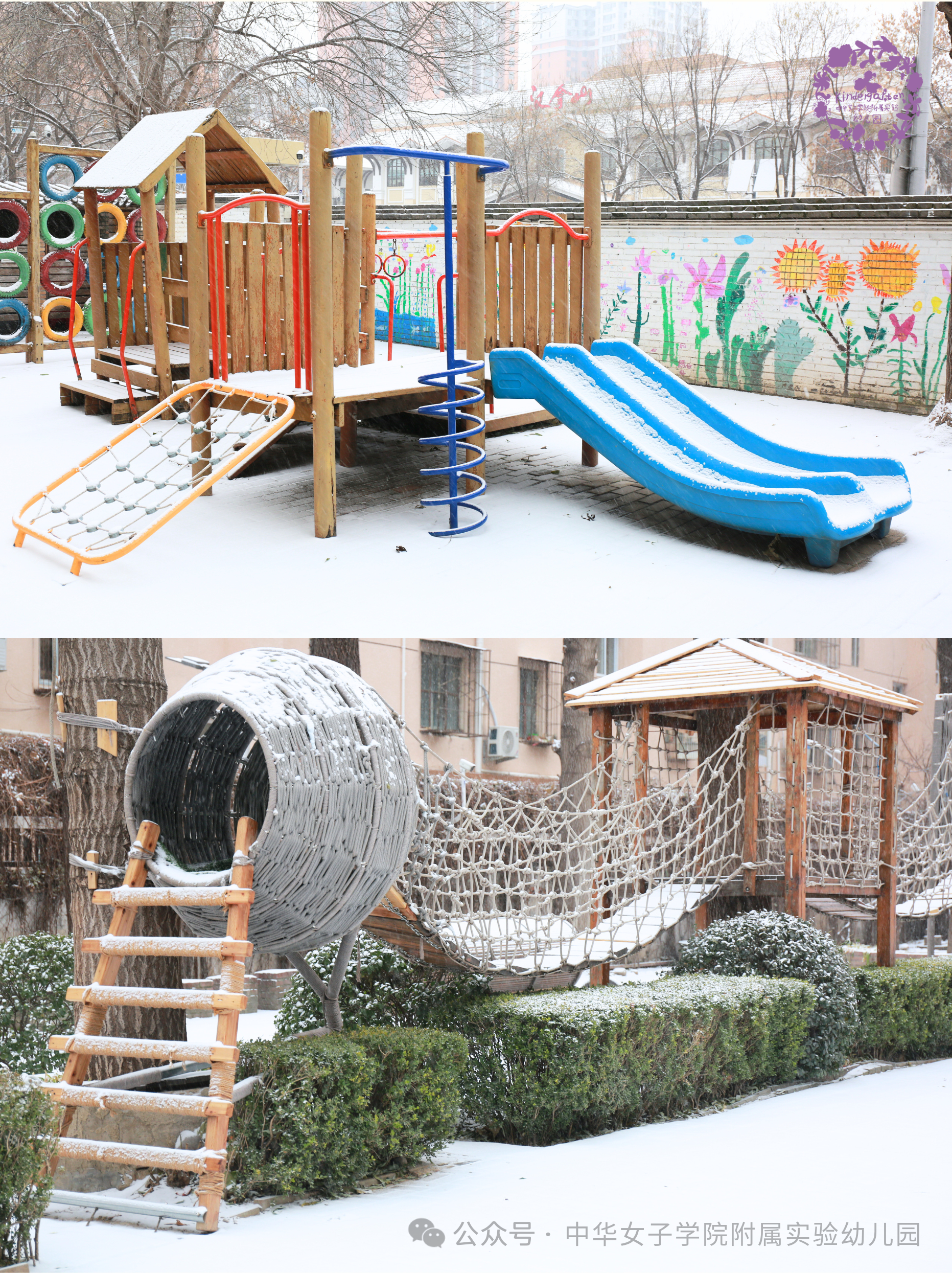 今日初雪 | 大雪飘落，花草园变成了“童话王国”！-幼师课件网第2张图片