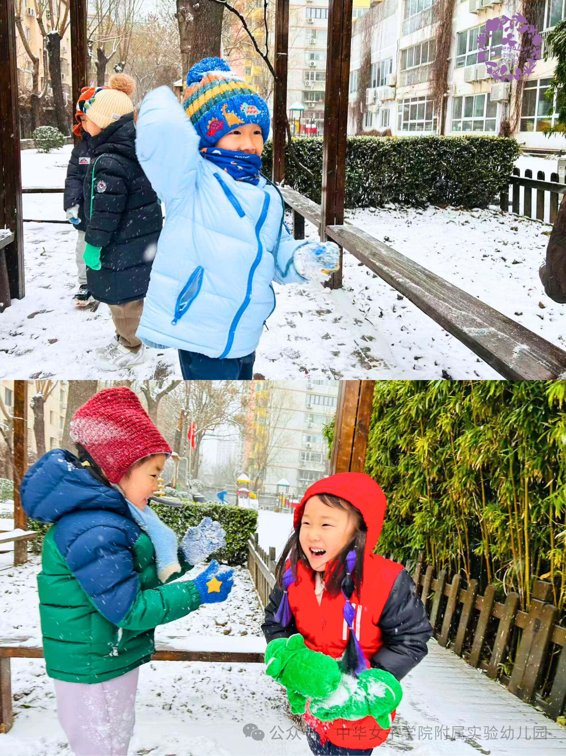 今日初雪 | 大雪飘落，花草园变成了“童话王国”！-幼师课件网第22张图片