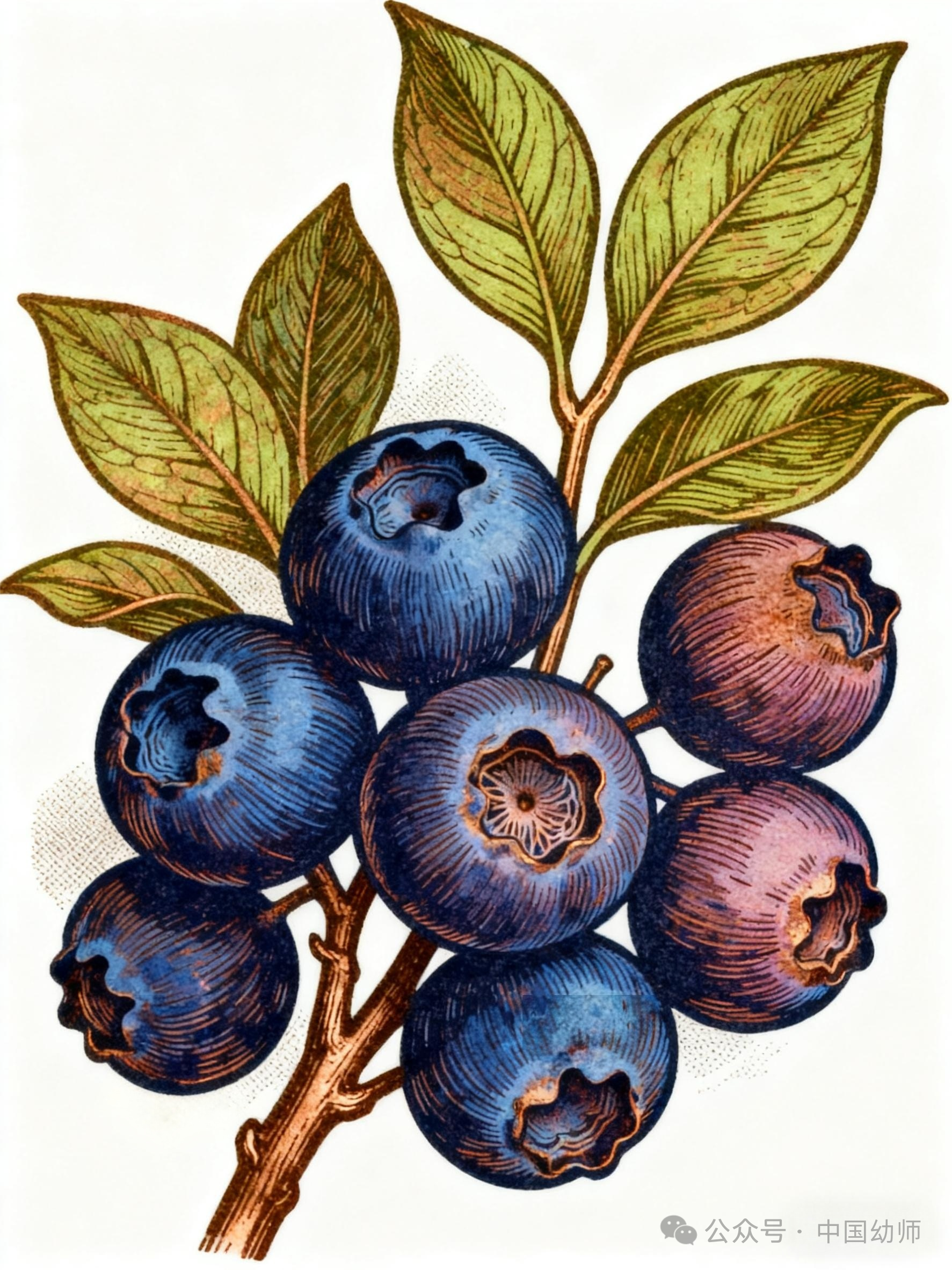 保教资源 | 用ai一键生成水果认知图卡-幼师课件网第2张图片