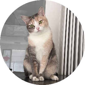 喵星人的生活观