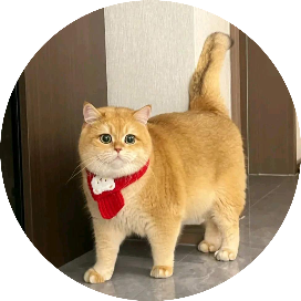 肥猫说财