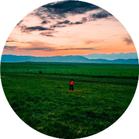 野旷天清会有时