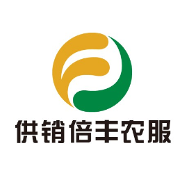 作者头像