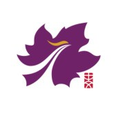 香港中文大学深圳教育基金会