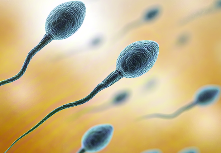 备孕反复胎停就找女方原因？很多人都忽略了这个男性指标！