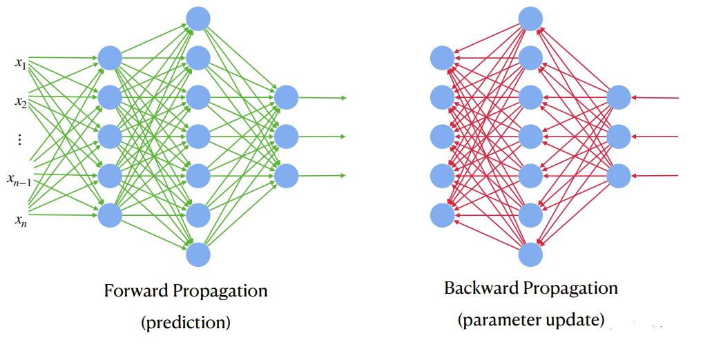 the Forward and Backward Propagation in ANN | Download Scientific Diagram