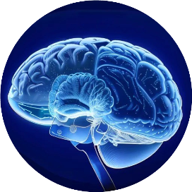 矩阵影像园Matrix Imaging Forum