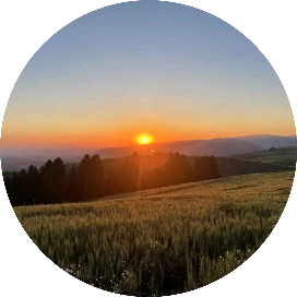 我在拐角处等你来