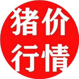 明日猪价今天报