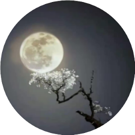 标月之指