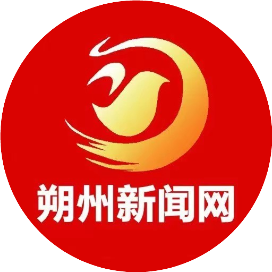 作者头像