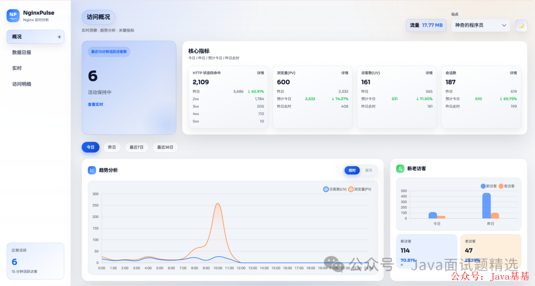 nginxpulse 面板概览