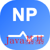 nginxpulse Logo