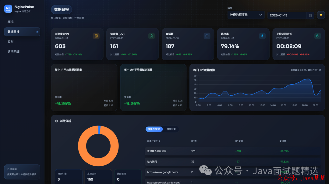 nginxpulse 面板详情