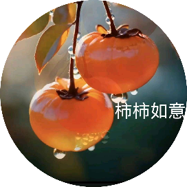 弦诗逸梦