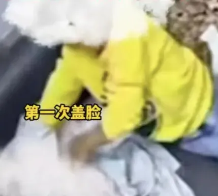圖片