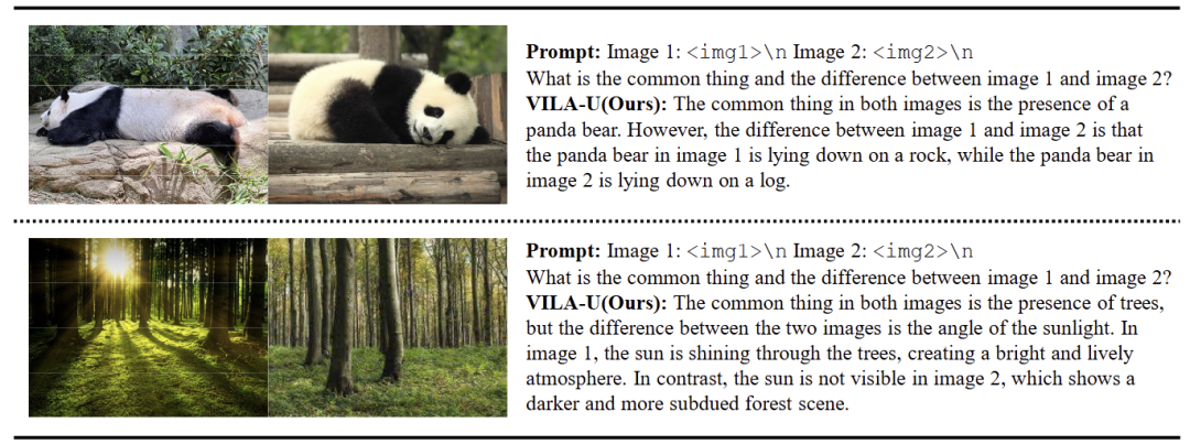 图10：VILA-U 可以正确地对多个图像进行推理