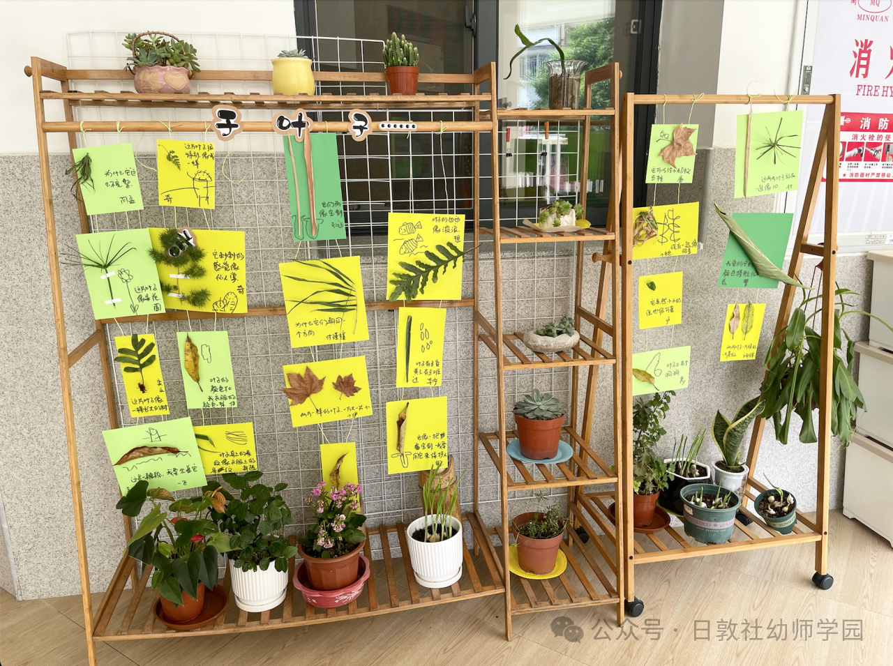 幼儿园墙面环创要多一些生活的随意性、松弛感-幼师课件网第2张图片