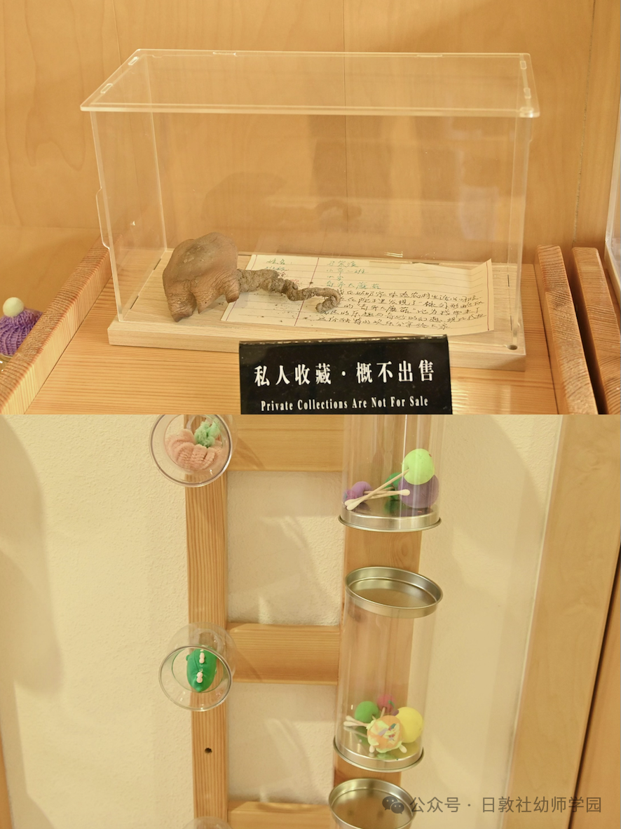 全国独一家！幼儿园“长”在儿童探索博物馆里-幼师课件网第22张图片