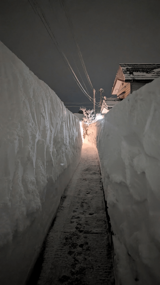 r/megalophobia - Nagano & Niigata, Japan have gotten an INSANE amount of snow recently !!