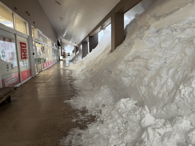 r/megalophobia - Nagano & Niigata, Japan have gotten an INSANE amount of snow recently !!