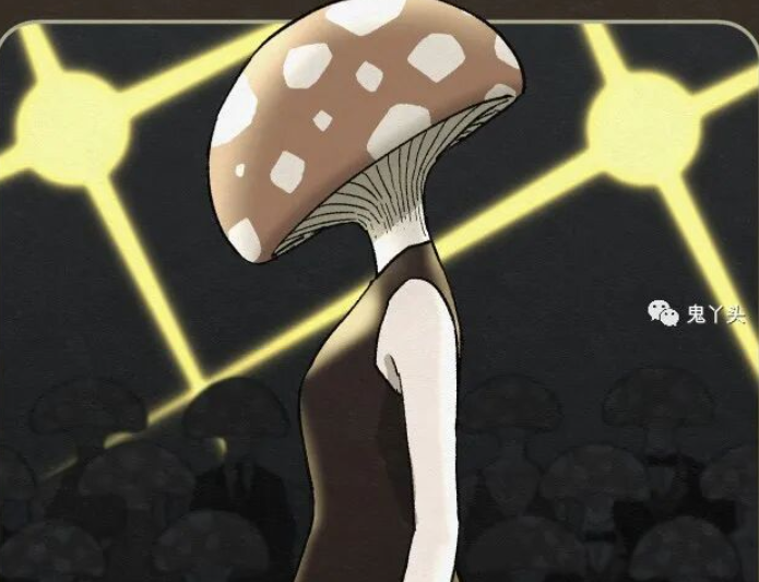 ������Ģ����