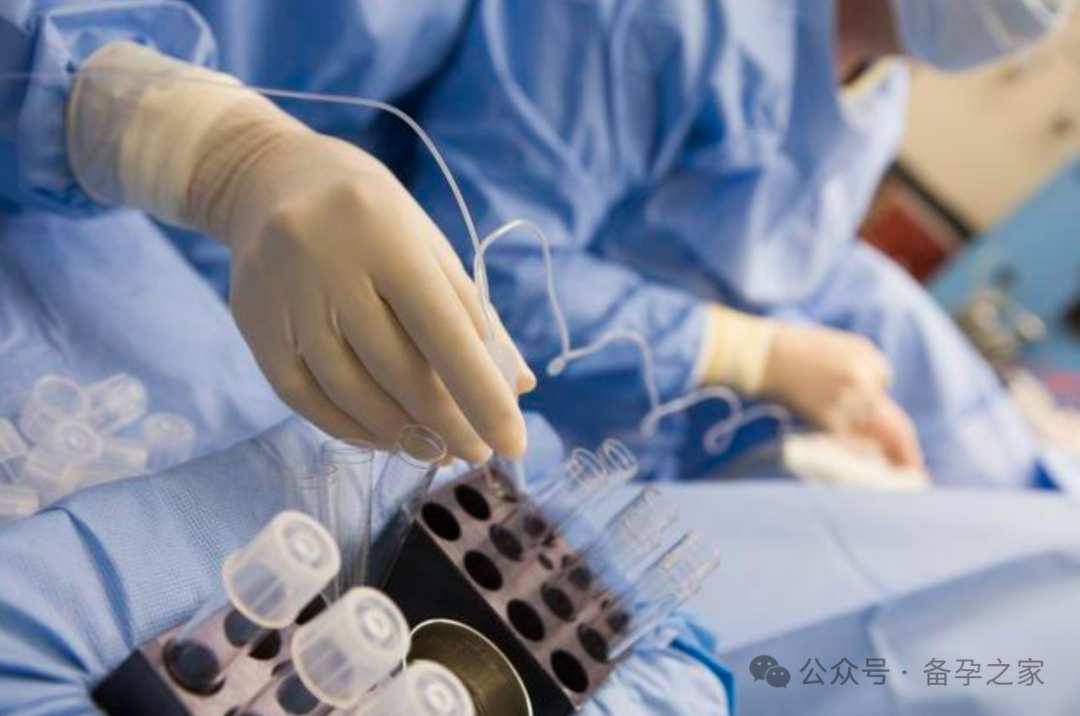 为什么有的人做试管要花十几万？