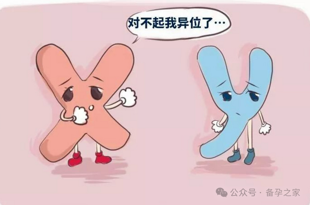 女方染色体异常，做三代试管还是供卵？