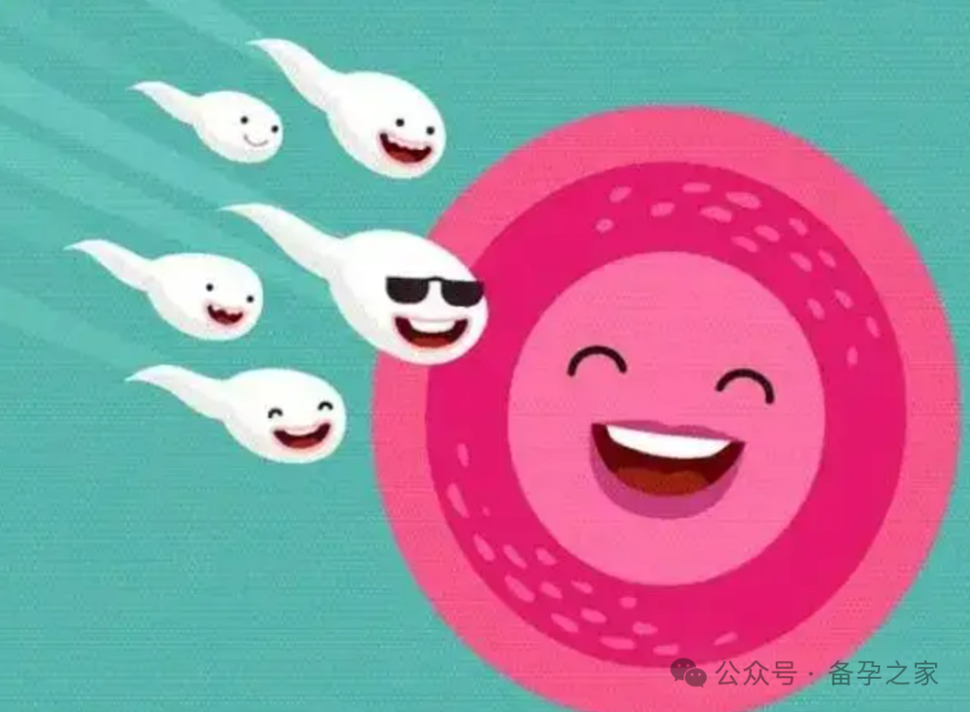 我45岁了，做自卵试管成功率高吗？