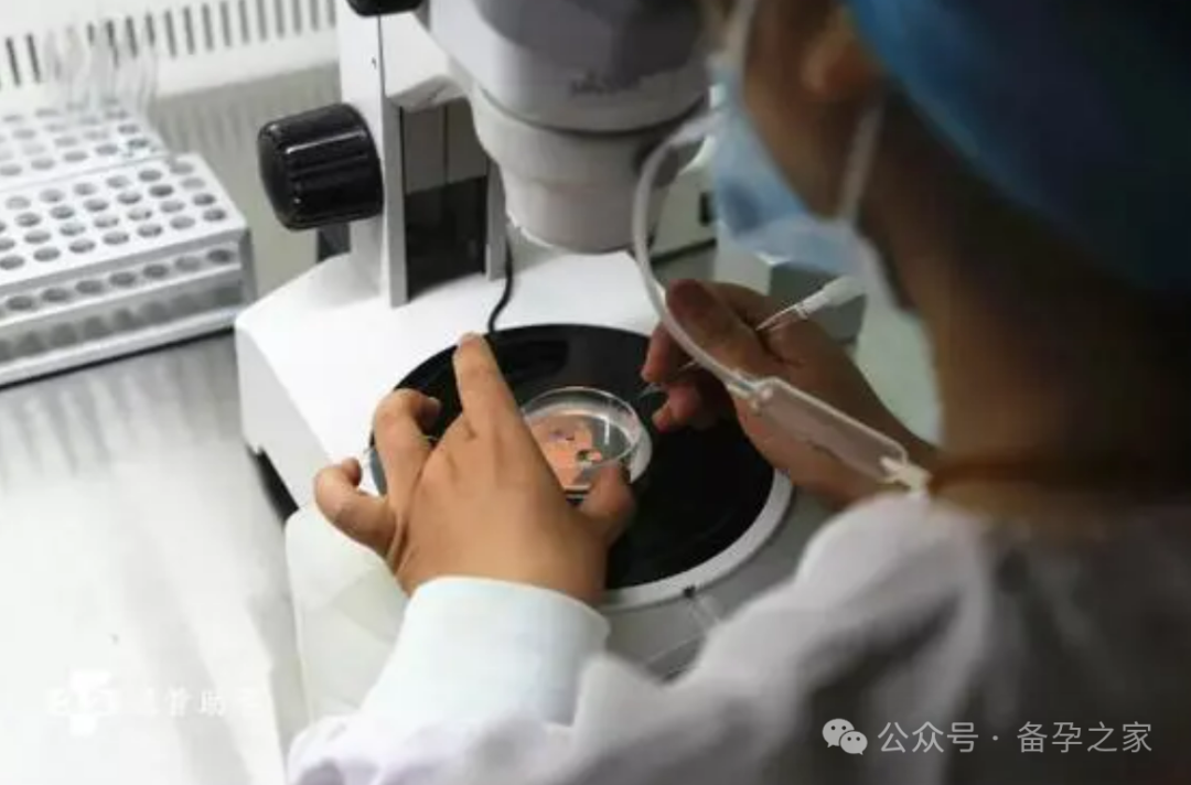 三代试管需求飙升，大家如何选择合适的机构？