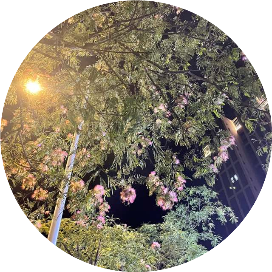 努力爬向兔子毛的顶端