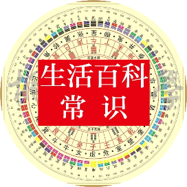 基层法观