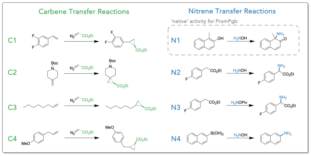 Fig. Scheme 1. 用于筛选亲本酶并首次训练ALDE模型的8个初始训练反应（C1-C4卡宾环丙烷化，N1-N4亚氮宾转移）