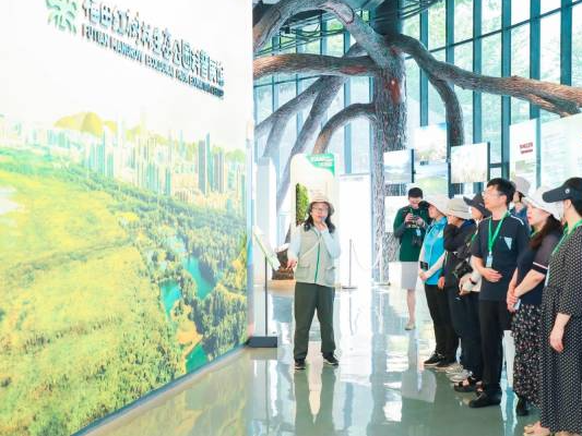 福田红树林生态公园内的科普教育